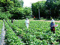 genki_tour_syoka_2009_4.jpg